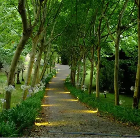 Apartamento Quinta Fragas Apartamento Jardim