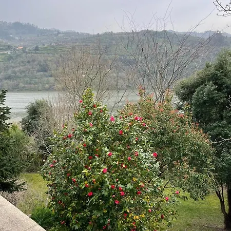 Quinta Fragas Apartamento Jardim Baião