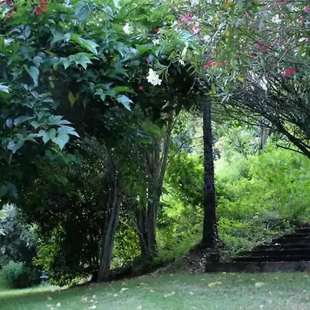 Quinta Fragas Apartamento Jardim * Baião