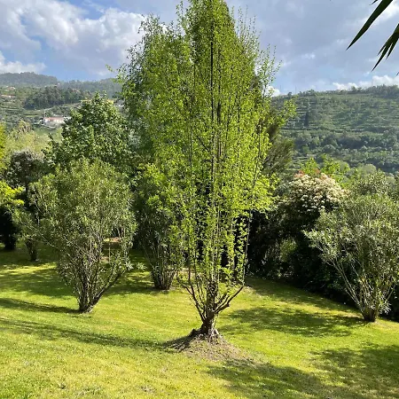 Quinta Fragas Apartamento Jardim Apartamento